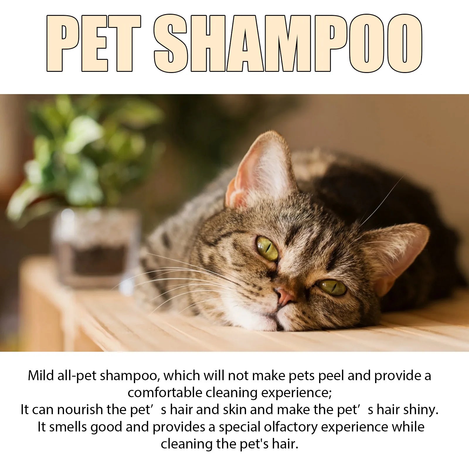 YEGBONG Dog Wash Shampoo: Flea Killer