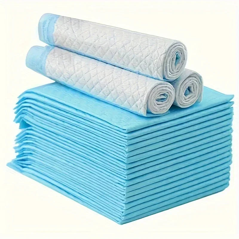 Disposable Dog Diapers & Training Pads