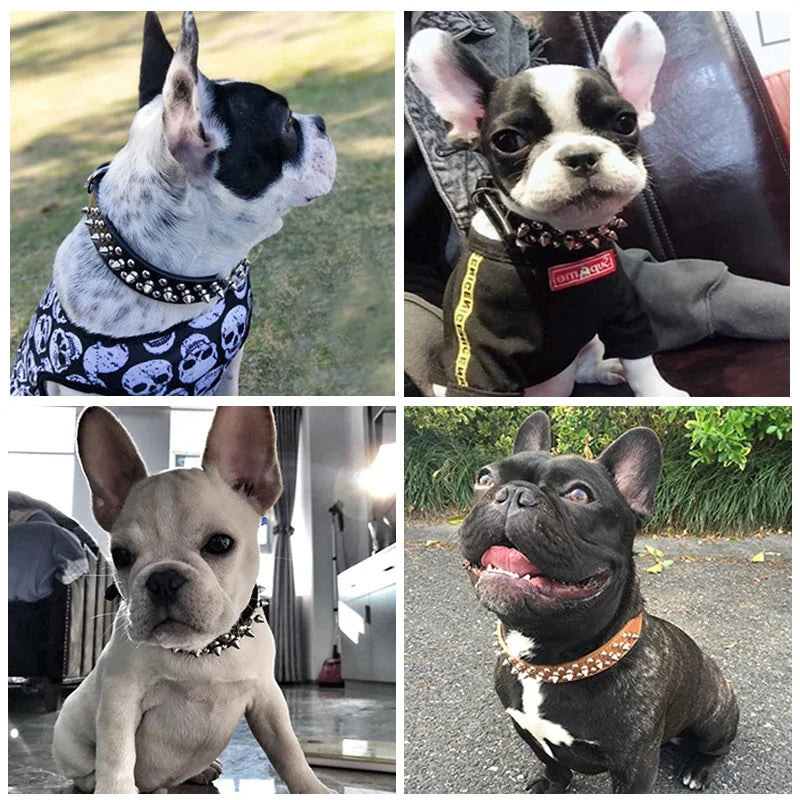 Adjustable Leather Pet Dog Collar