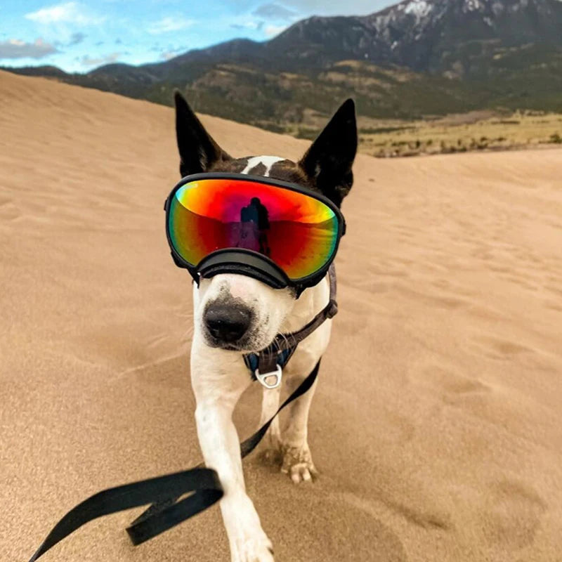 Dog Goggles Anti-UV Sun Glasses Eyewear Protection