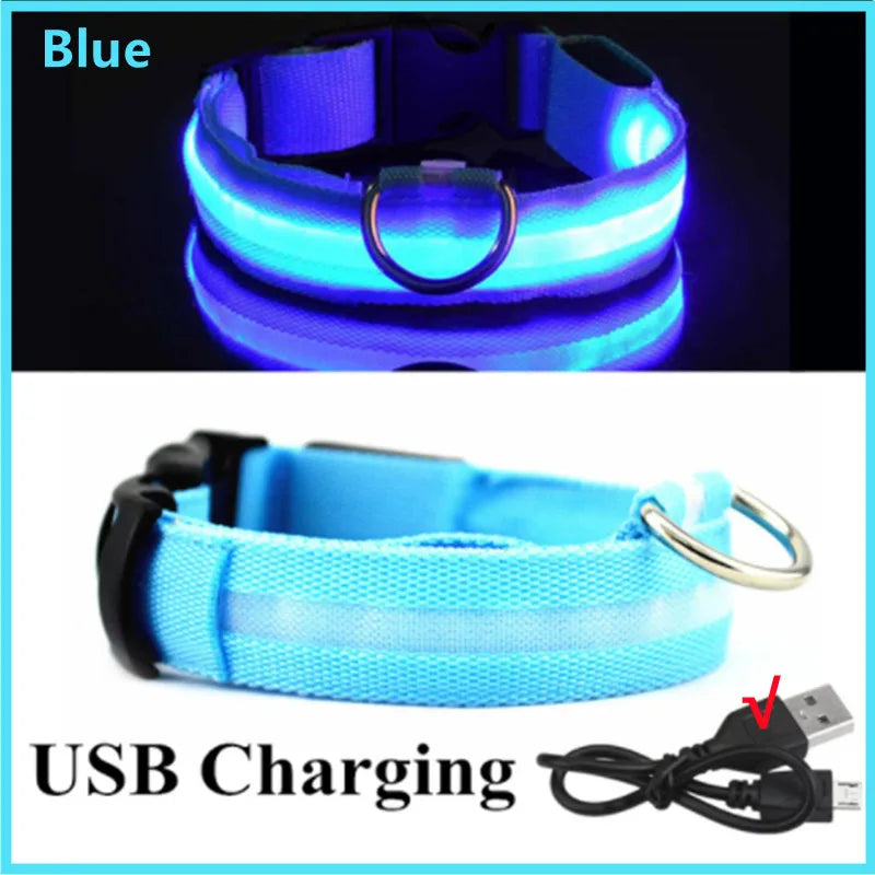 USB Rechargeable Luminous Collar for Large Small Dogs