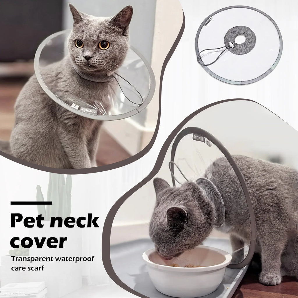 Pet Cat Protective Collar Neck Recovery Cone Collar