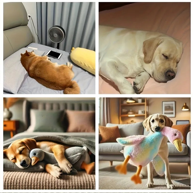 50cm Soft Colorful Duck Plush Toy for Cats Dogs