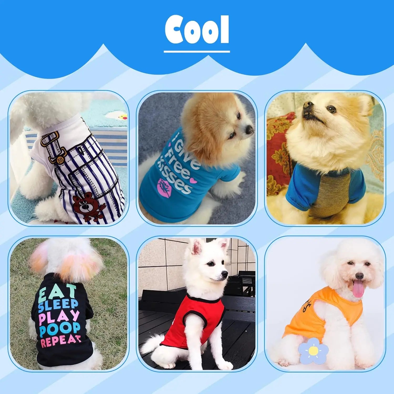 6 Pack Small Dog Clothes