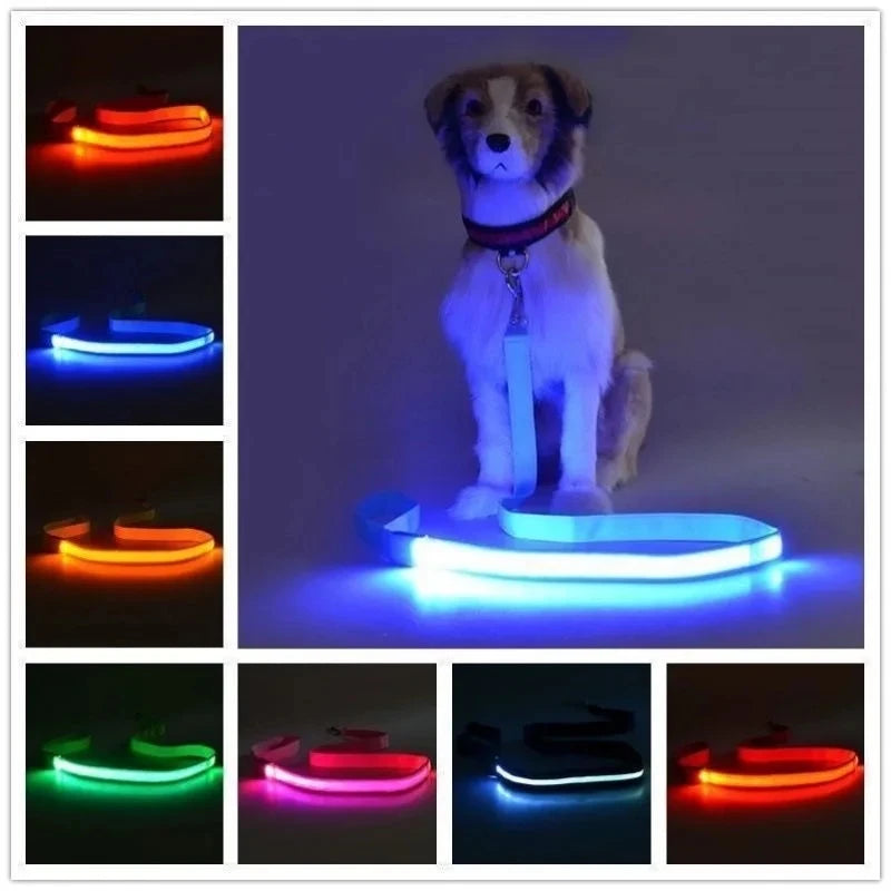 Led Pet Dog Leash Rope With Light Luminous