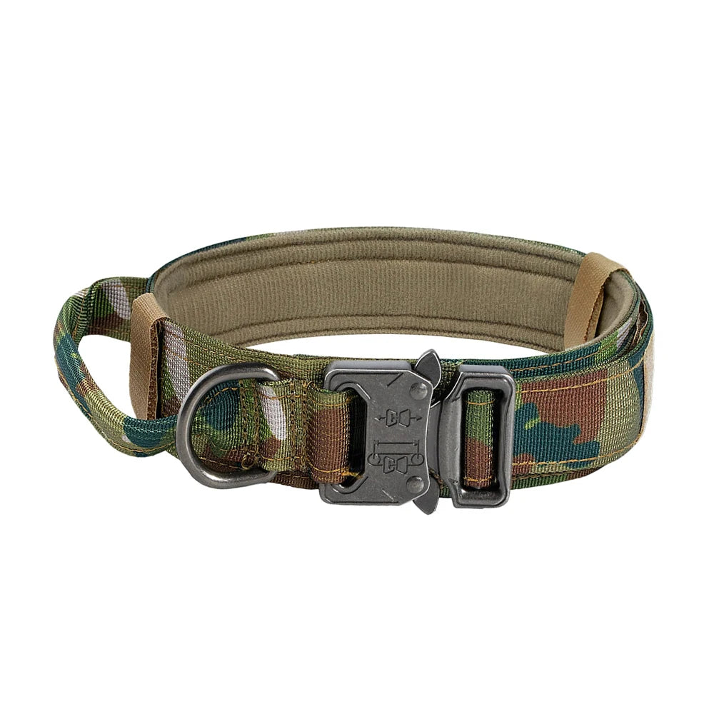 Dog Training Adjustable Dog Collar