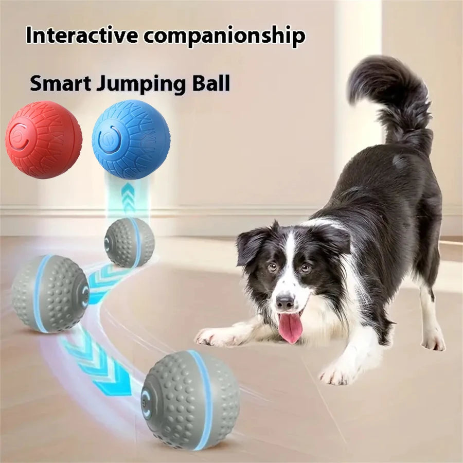 Smart Dog Toy Ball Automatic