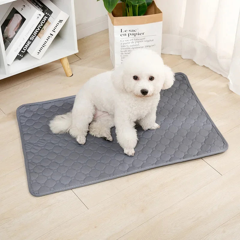 Dog Pee Pad Washable Puppy Training Pad