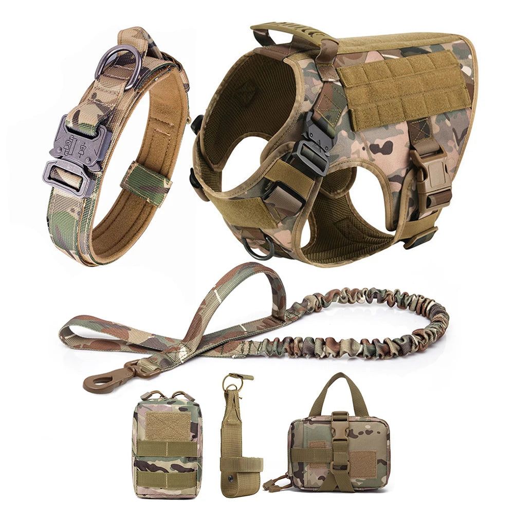 Large Dog Harness Leash Set