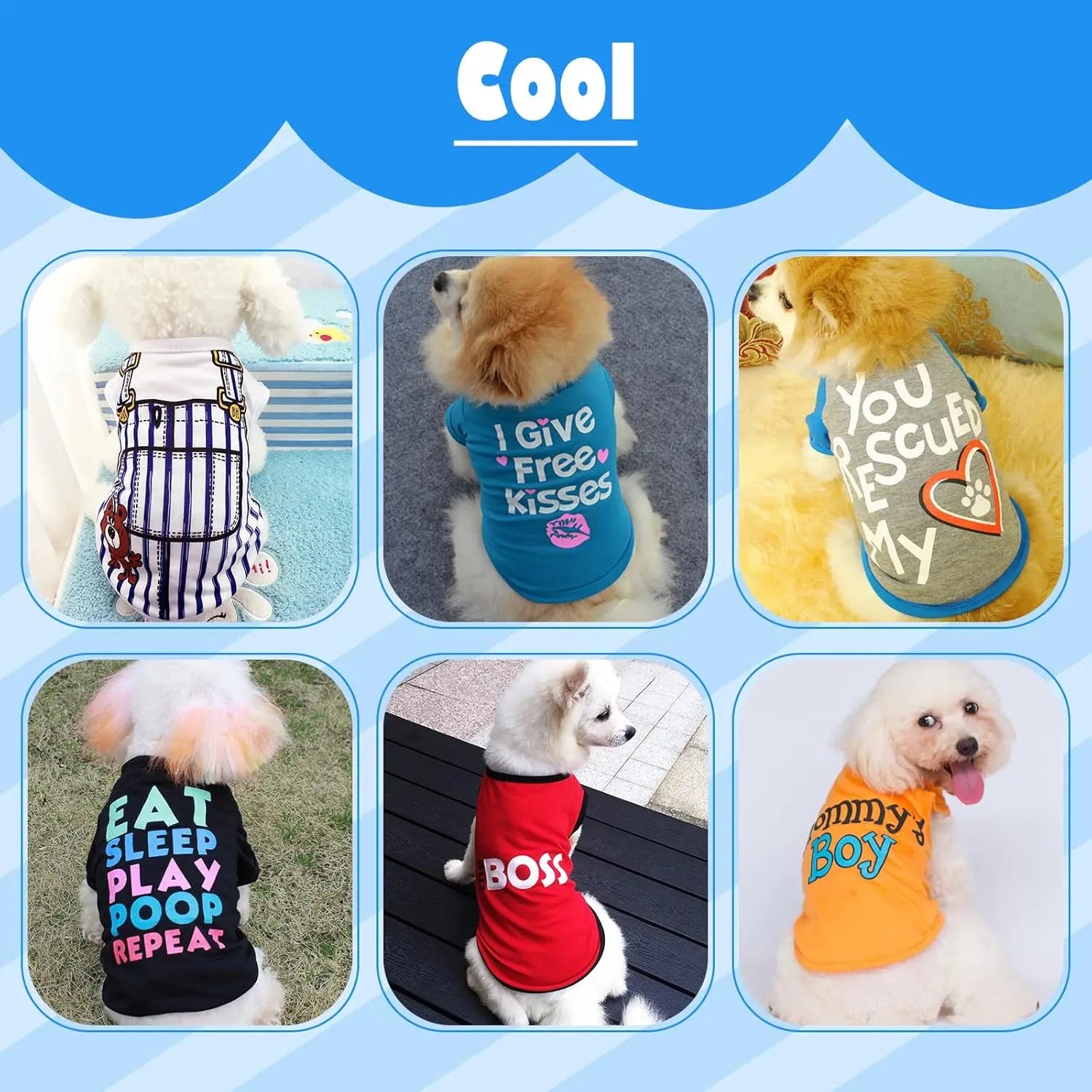 6 Pack Small Dog Clothes