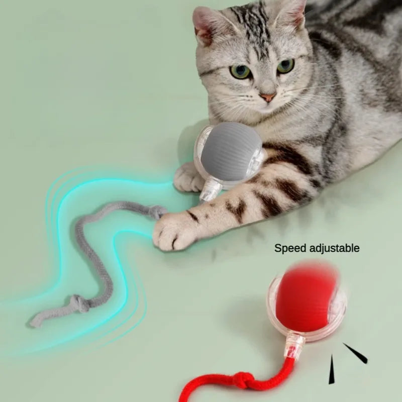Automatic Rolling Ball For Cat