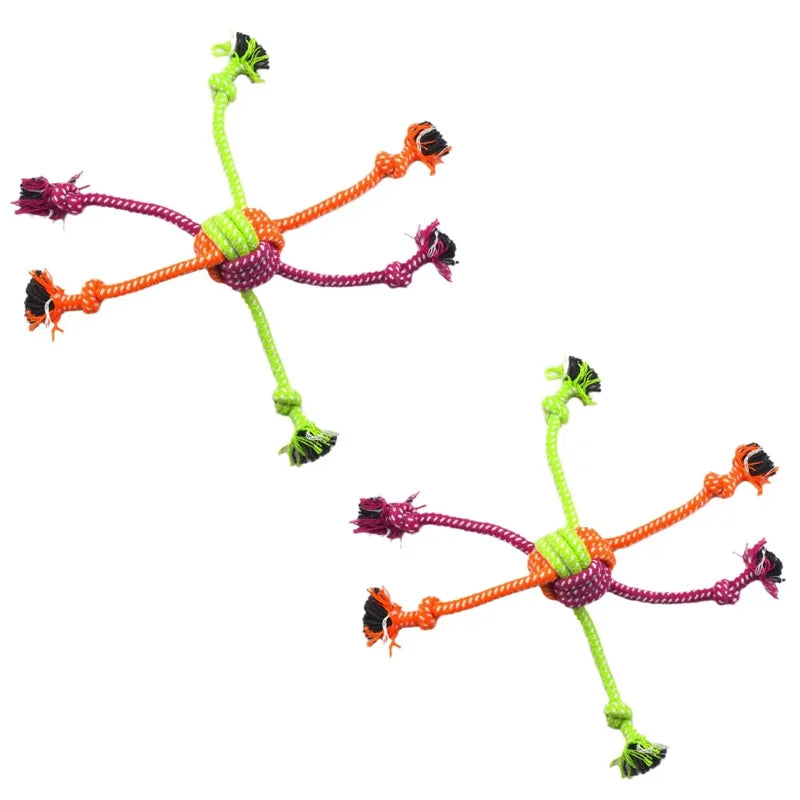 Pet Interactive Chewing Dog Toy