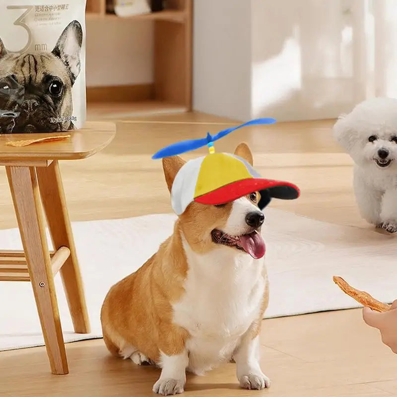 Colorful Pet Propeller Hat With Ear Holes
