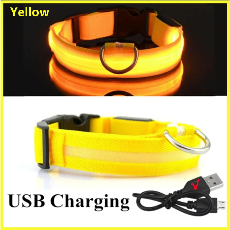 USB Rechargeable Luminous Collar for Large Small Dogs