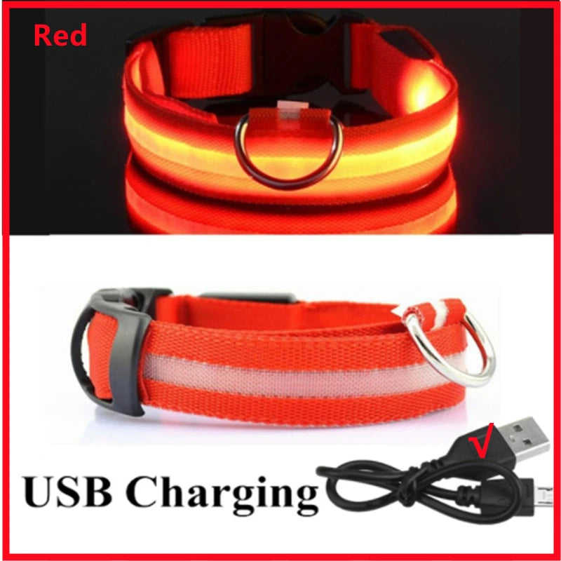 USB Rechargeable Luminous Collar for Large Small Dogs