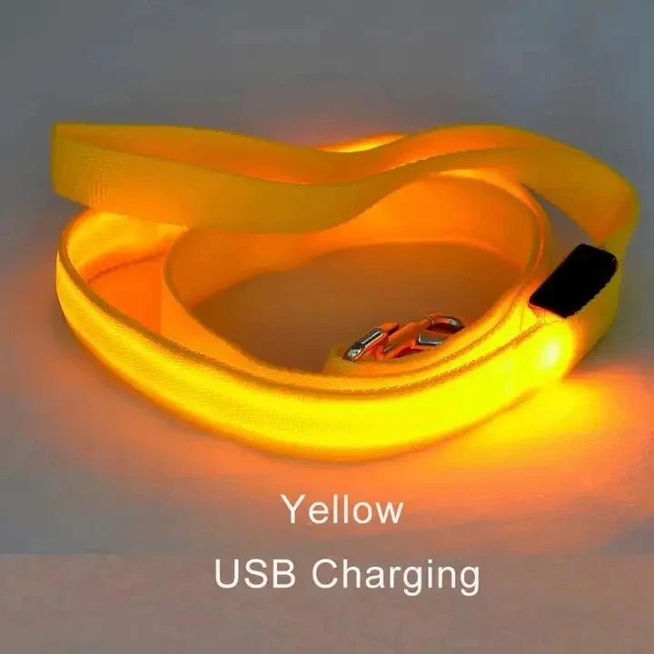 Led Pet Dog Leash Rope With Light Luminous