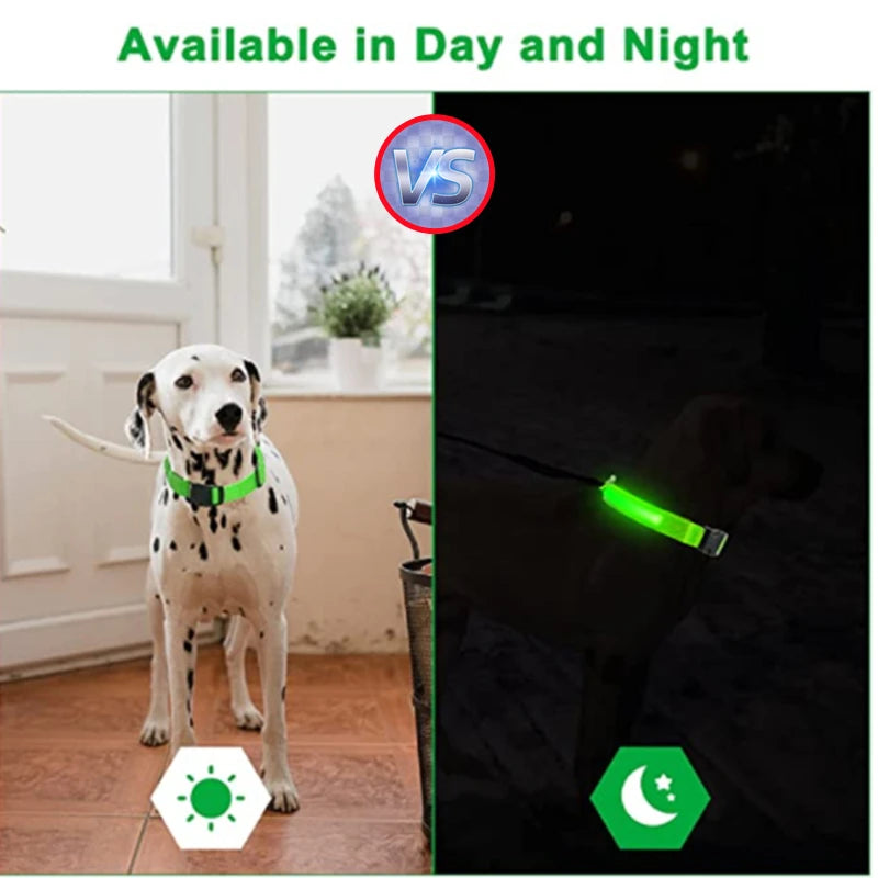 USB Rechargeable Luminous Collar for Large Small Dogs