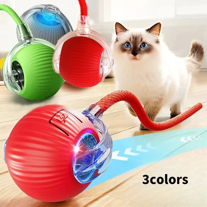 Automatic Rolling Ball For Cat