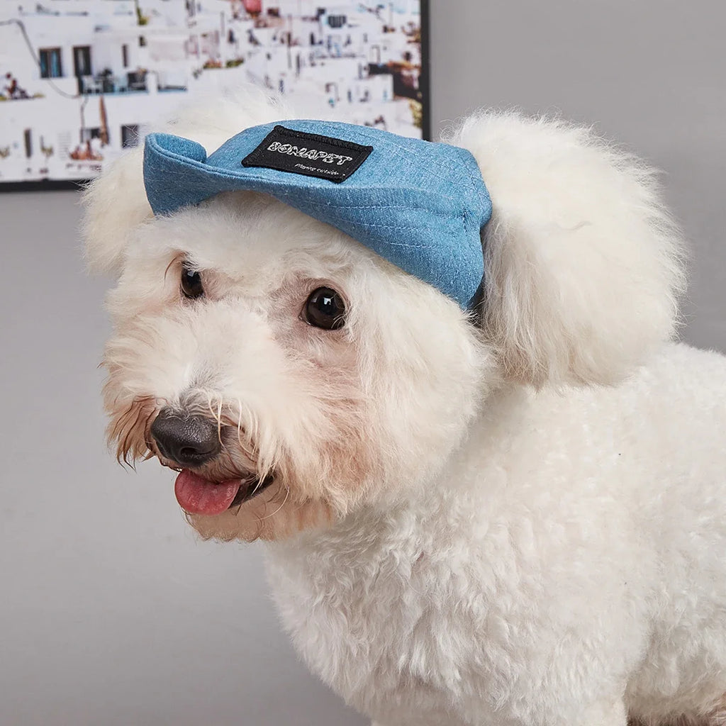 Dog Hat Dog Sun Hat Summer Pet Baseball Cap