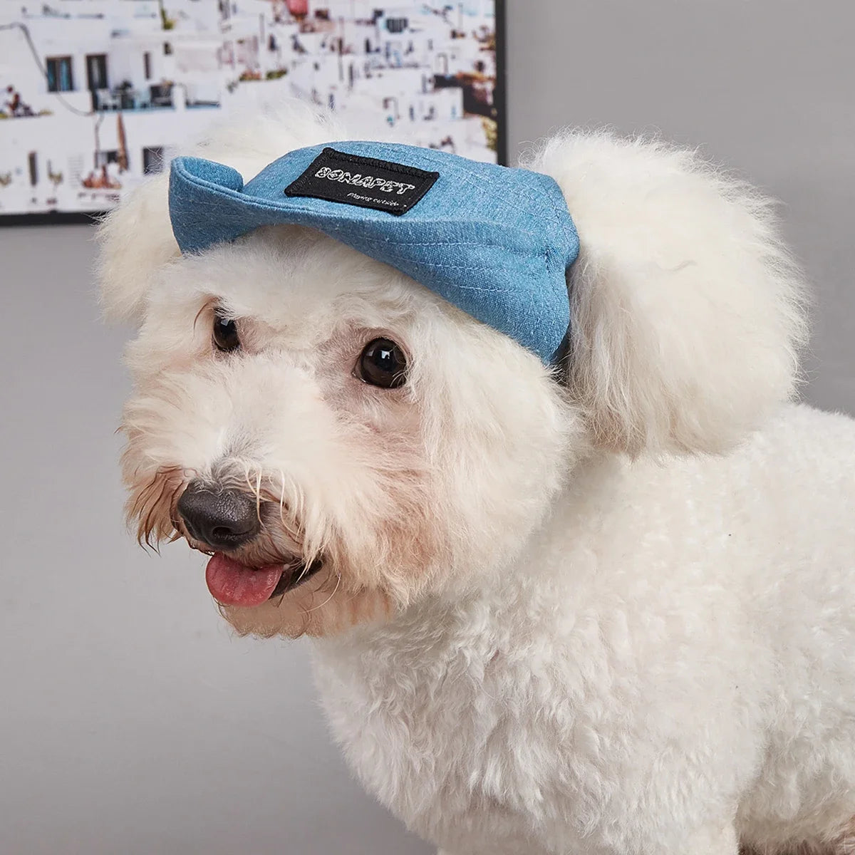 Dog Hat Dog Sun Hat Summer Pet Baseball Cap