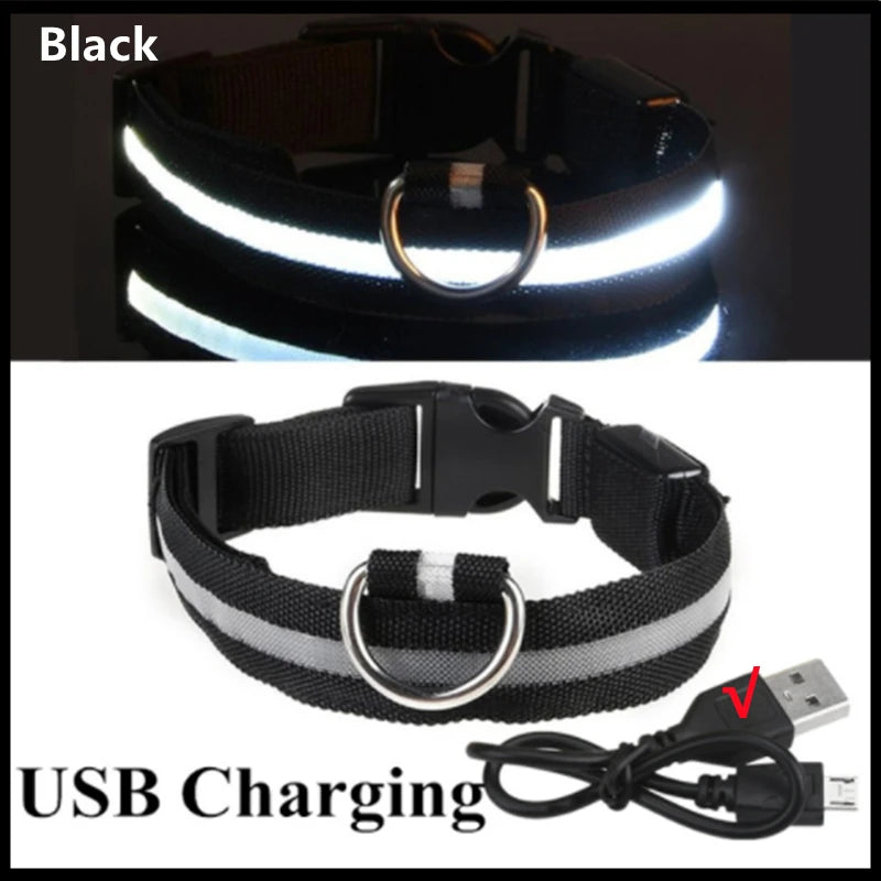 USB Rechargeable Luminous Collar for Large Small Dogs