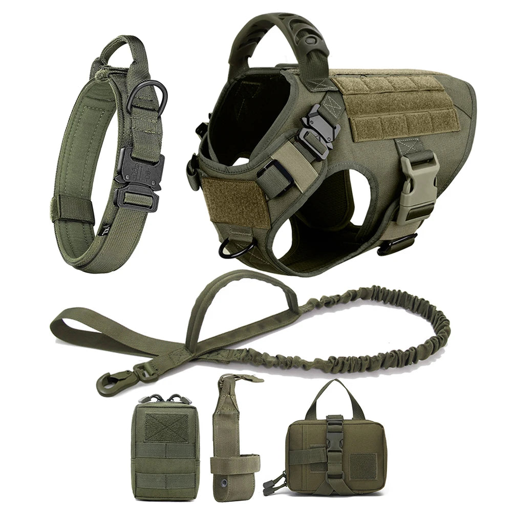 Large Dog Harness Leash Set