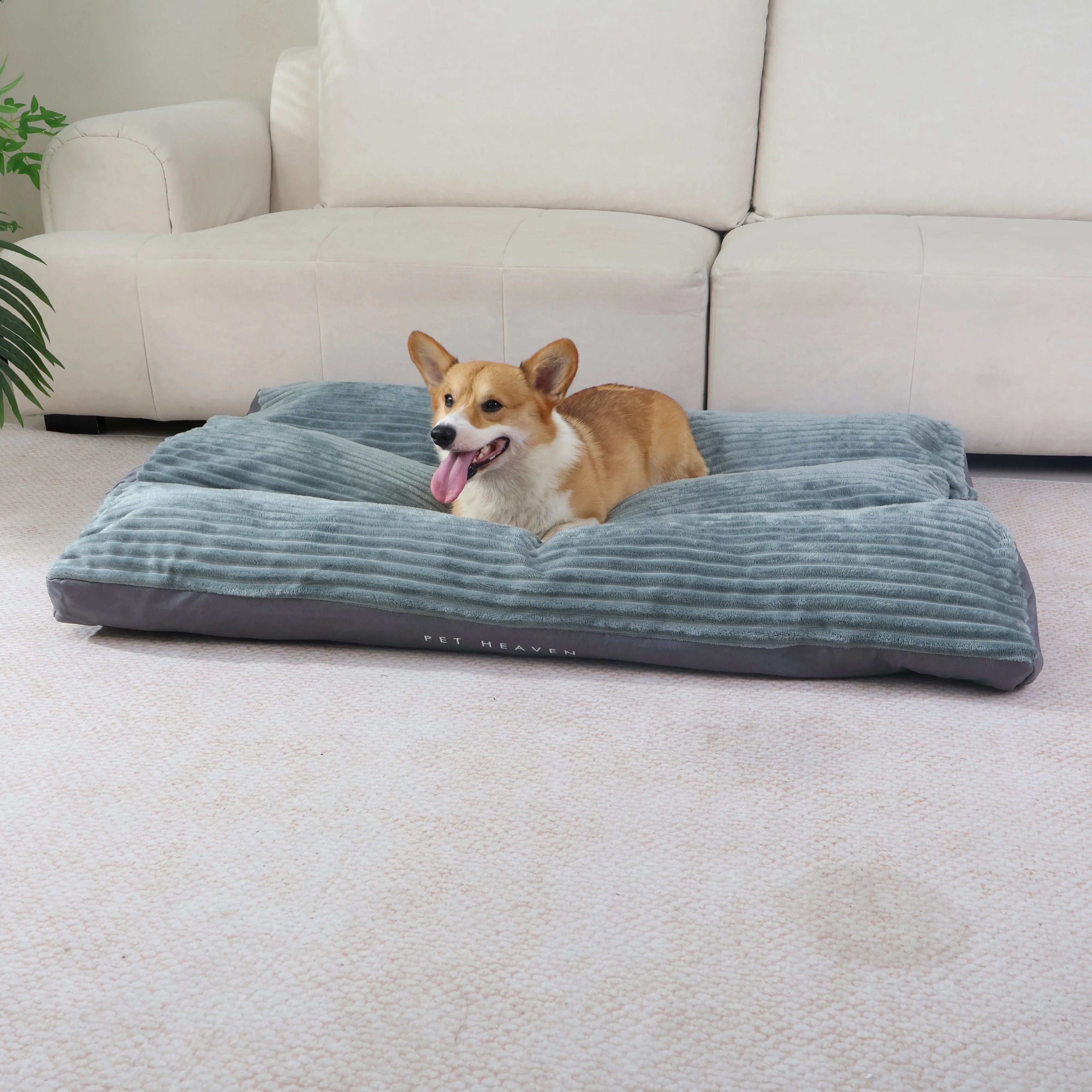XXL Dog Bed Extra Thickened Deluxe Dog Bed