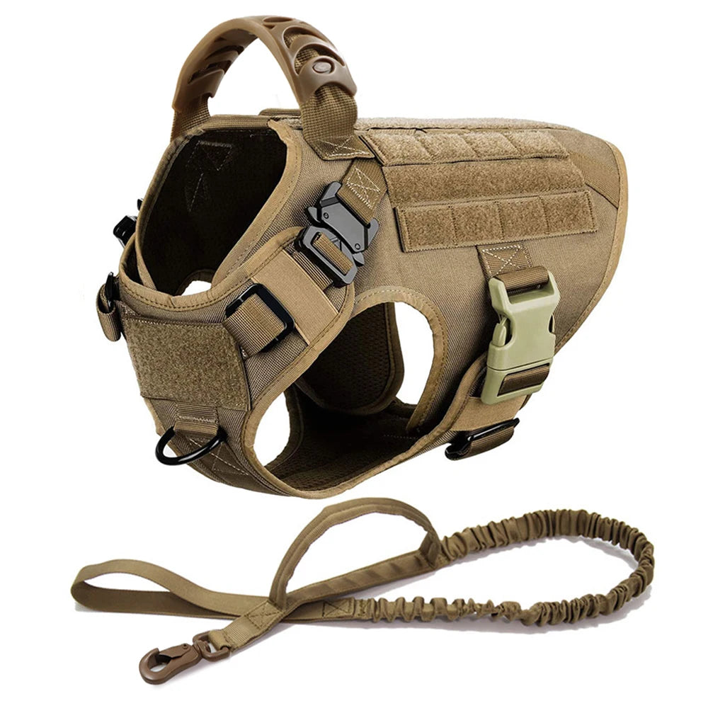 Large Dog Harness Leash Set