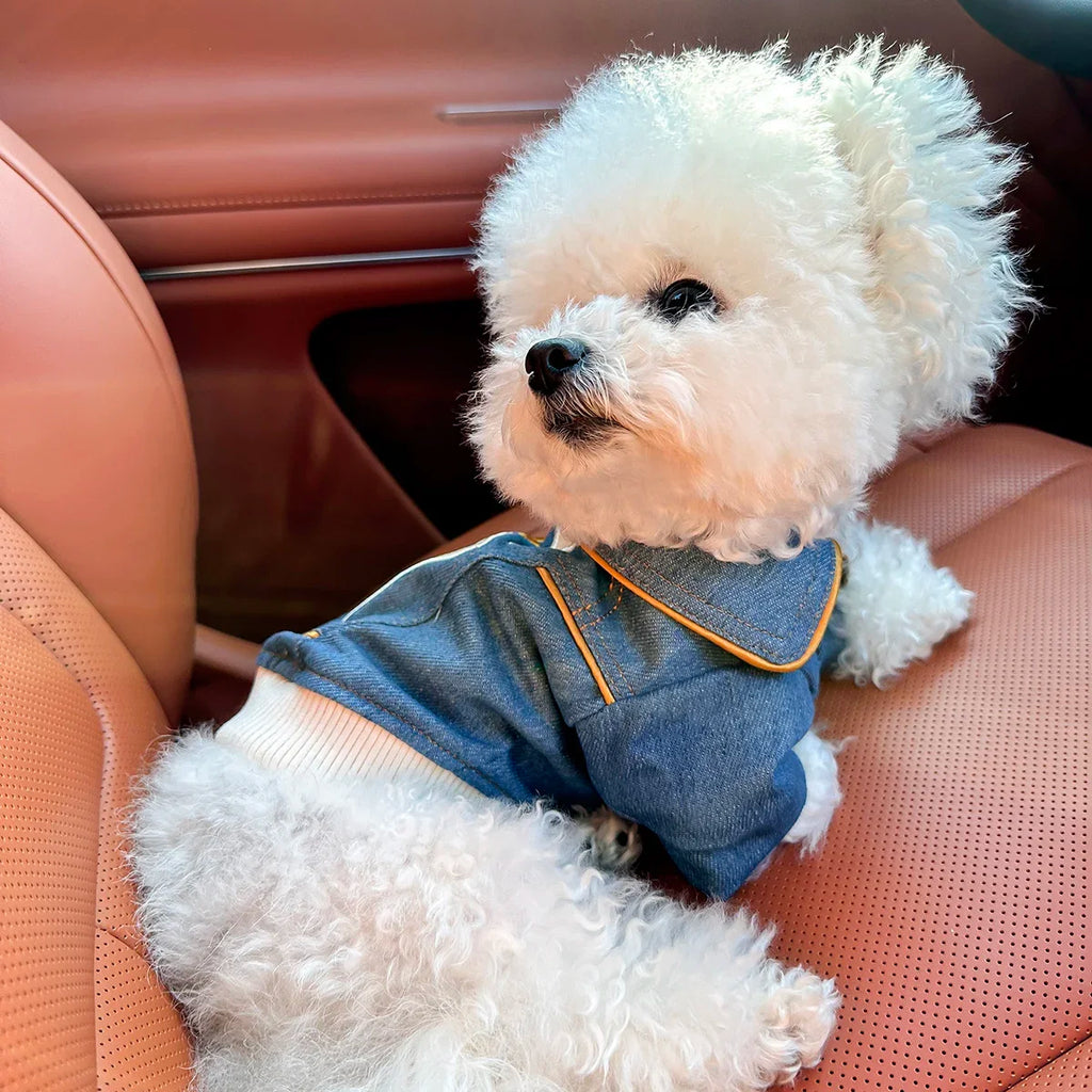 Rock Embroidery Blue Jacket Pet Clothes Dog Cat