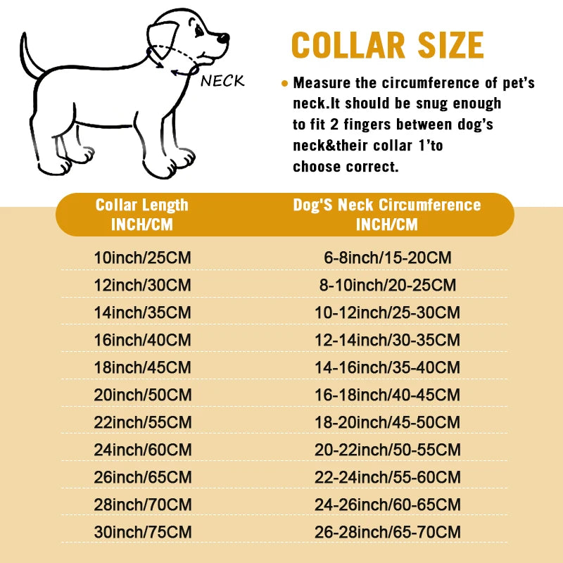 Heavy Duty Dog Choke Collar