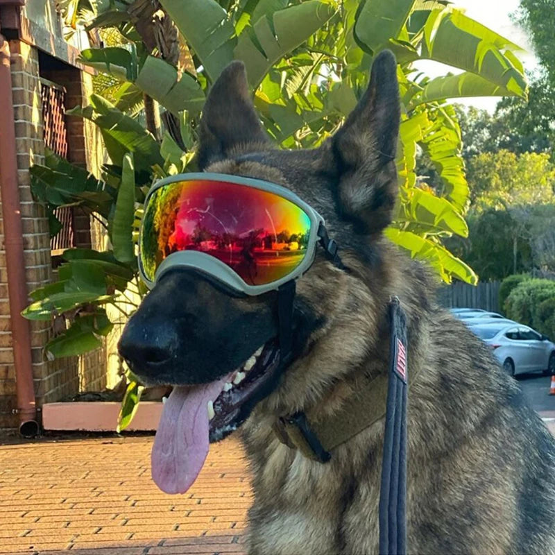 Dog Goggles Anti-UV Sun Glasses Eyewear Protection
