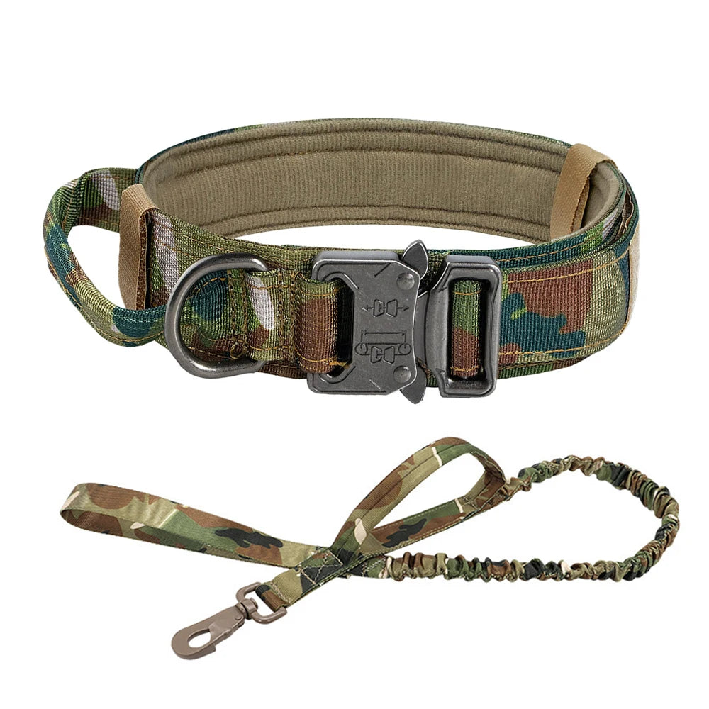 Dog Training Adjustable Dog Collar