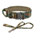 Dog Training Adjustable Dog Collar