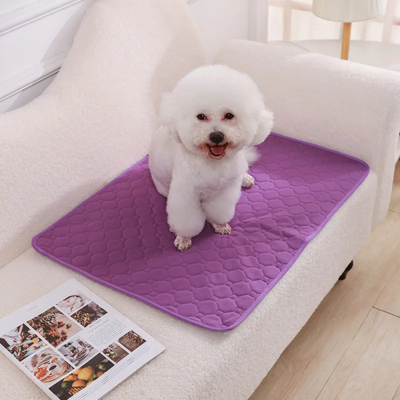 Dog Pee Pad Washable Puppy Training Pad