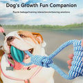 Interactive Dog Treat Ball 18x13cm