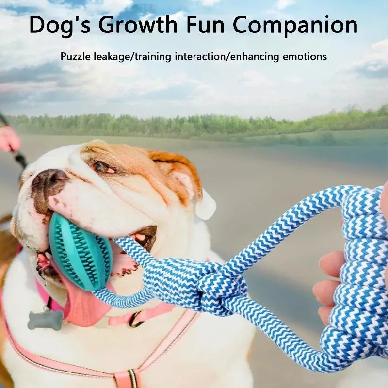 Interactive Dog Treat Ball 18x13cm