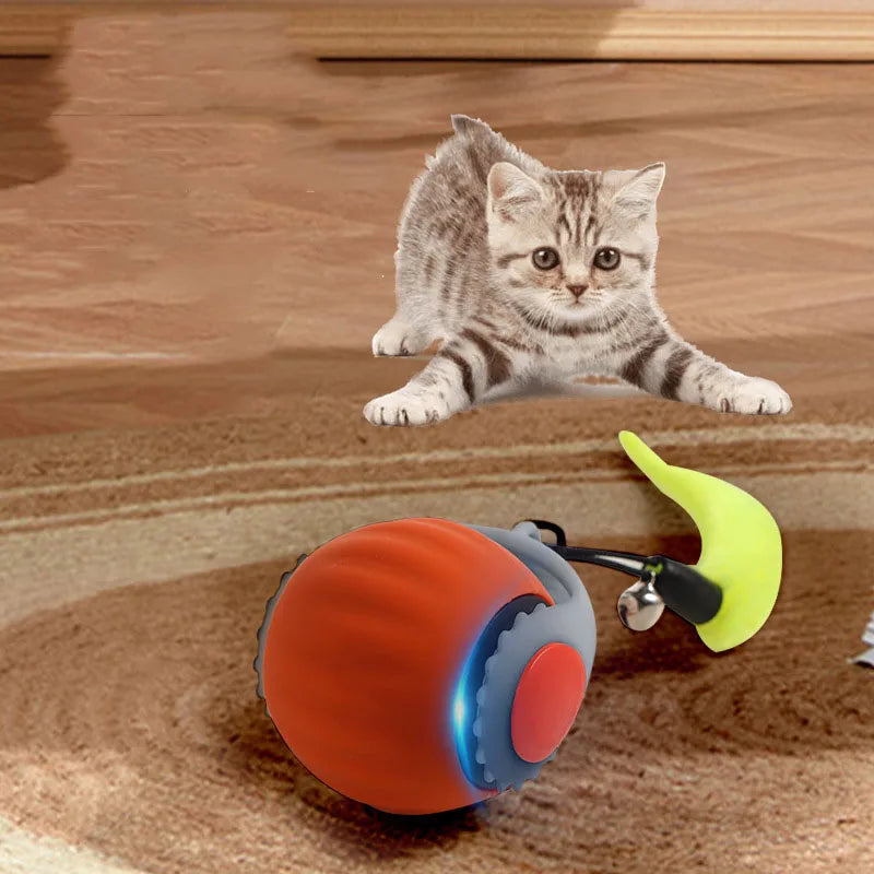 Pet smart cat ball cat toy ball electric