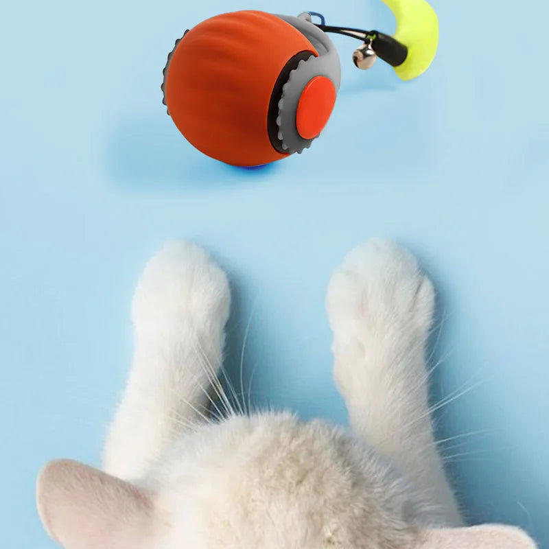 Pet smart cat ball cat toy ball electric