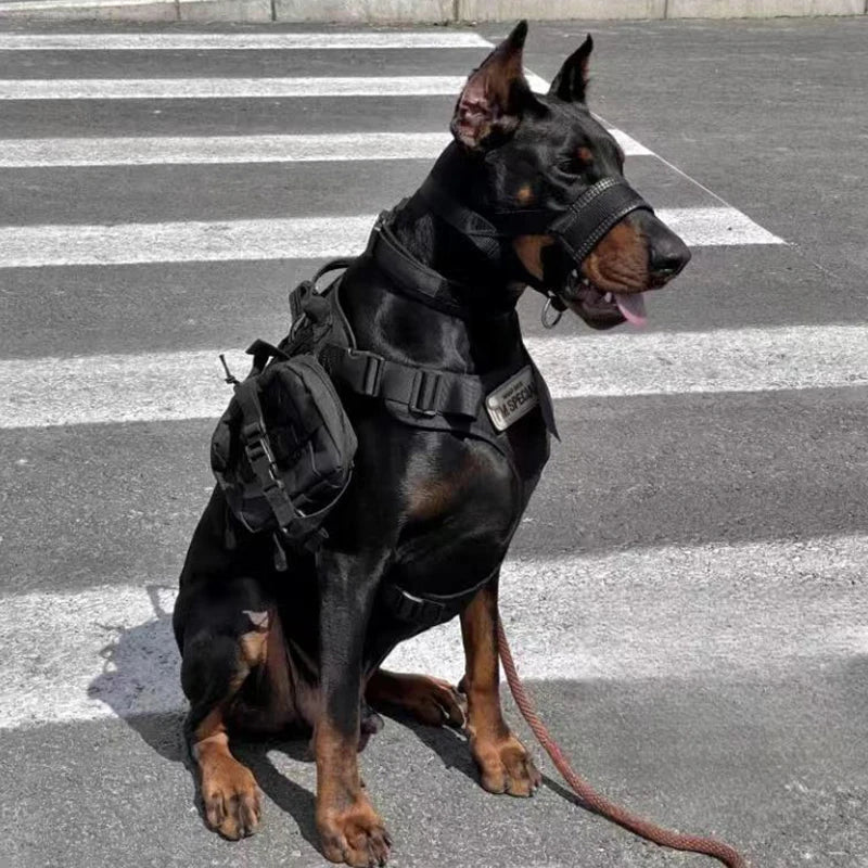 Dog Muzzle Anti-Bite & Barking