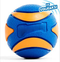 Ultra Ball Dog Toy