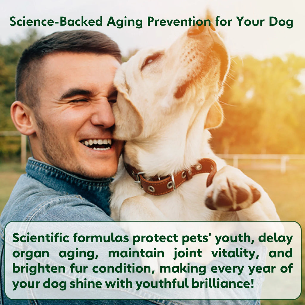 NUTRIDOG Senior Dog Vitamins Chews