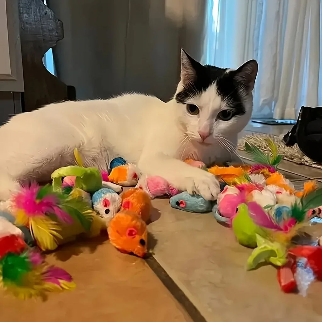 56pcs/28pcs/14pcs Cat Toys Mixed Pack