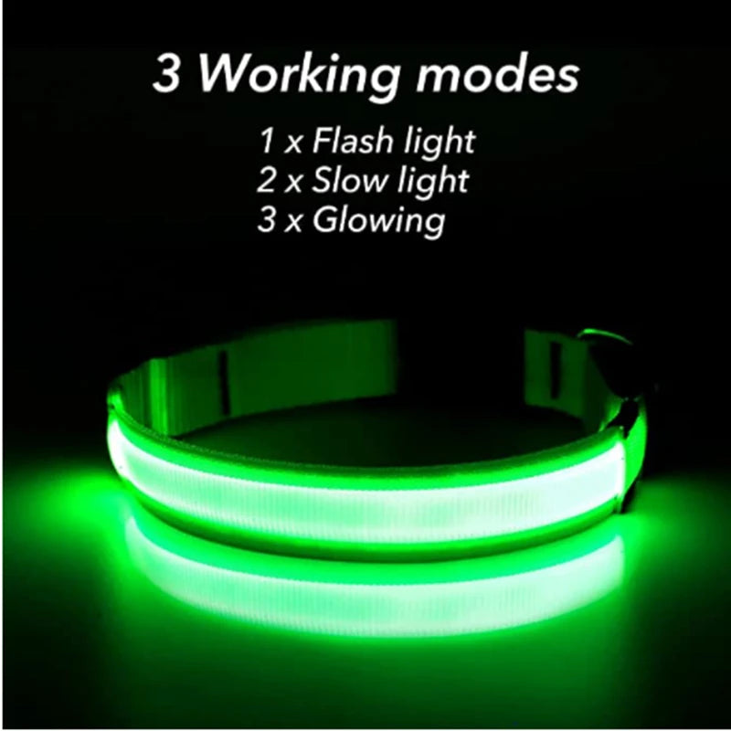 USB Rechargeable Luminous Collar for Large Small Dogs