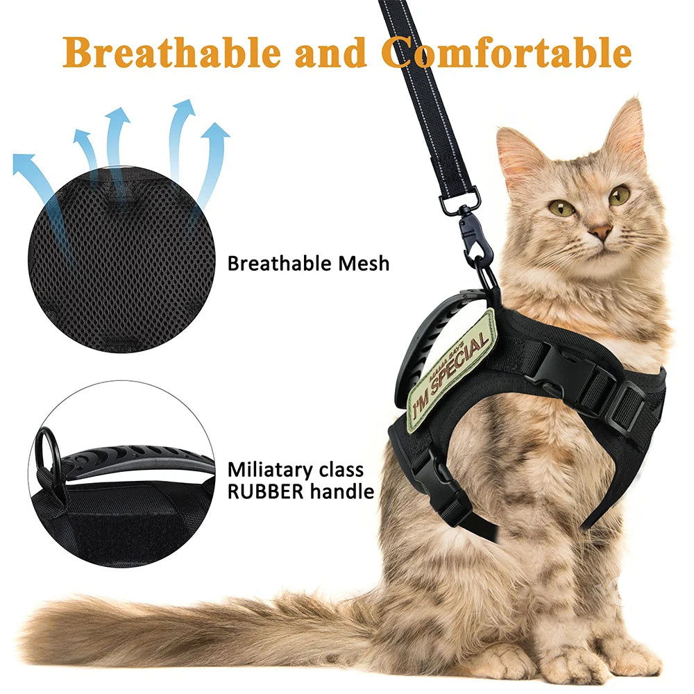 Tactical Harness with Leash Set