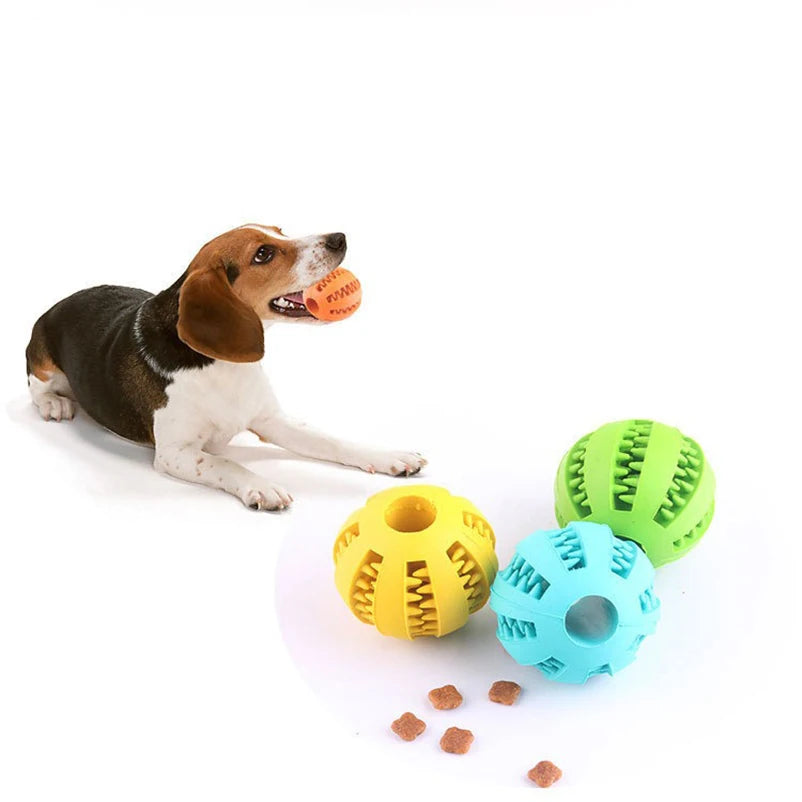 Pet toy Leaky food ball dog play exercise