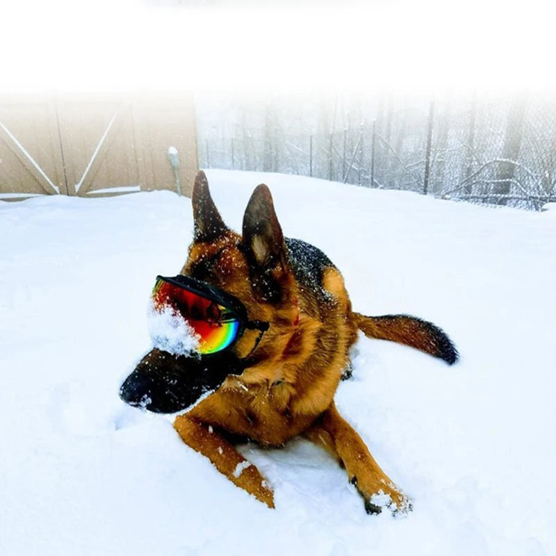 Dog Goggles Anti-UV Sun Glasses Eyewear Protection
