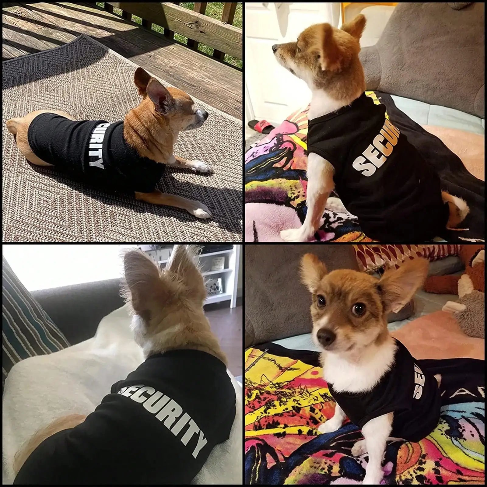 1 Pcs Dog and cat clothes