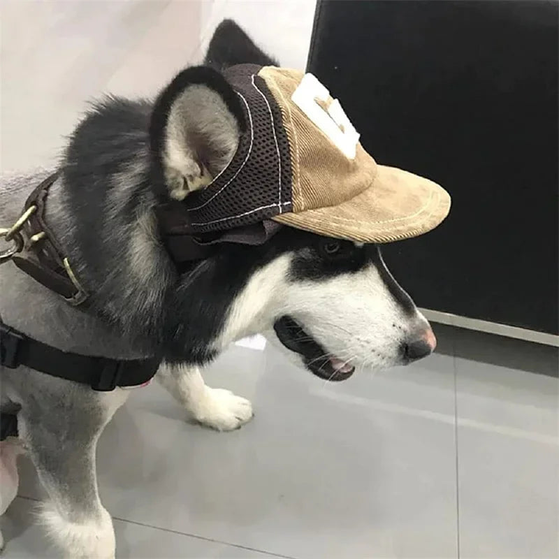 Dog Sunscreen Hat Baseball Cap Outdoor Sports Hat