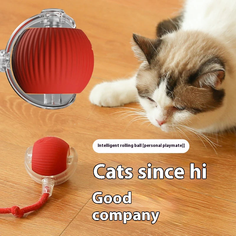 Automatic Rolling Ball For Cat