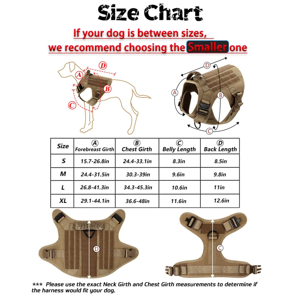 Large Dog Harness Leash Set